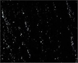 生物沥青材料加工