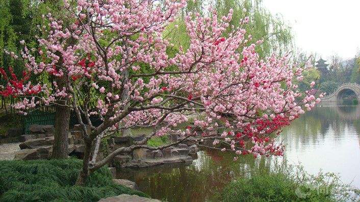 嘉格灌缝胶厂家春游赏花