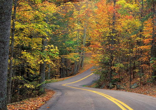嘉格路面贴缝带静静地&ldquo;伏&rdquo;在秋天更美的那条路上